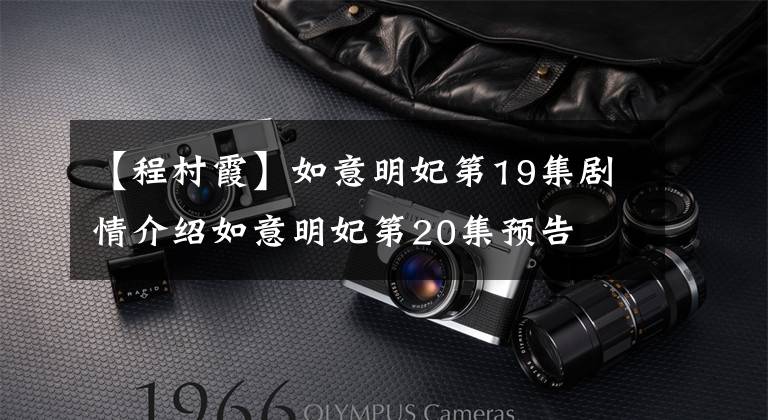【程村霞】如意明妃第19集剧情介绍如意明妃第20集预告