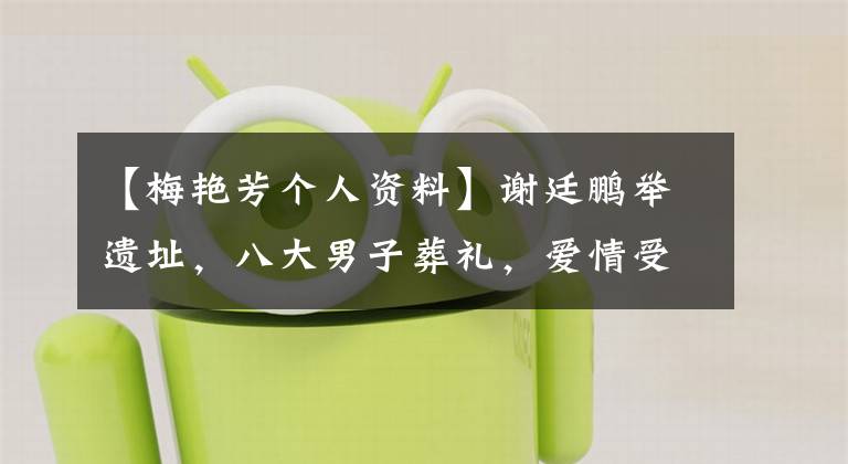 【梅艳芳个人资料】谢廷鹏举遗址，八大男子葬礼，爱情受伤赵文卓，孙梅艳芳坎坷人生。