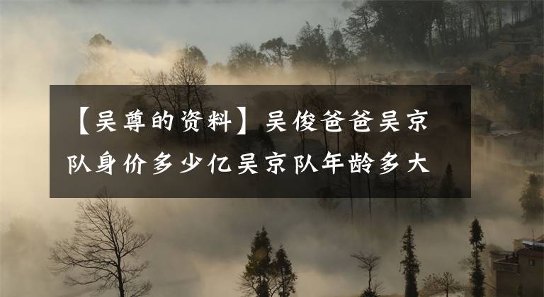 【吴尊的资料】吴俊爸爸吴京队身价多少亿吴京队年龄多大简介