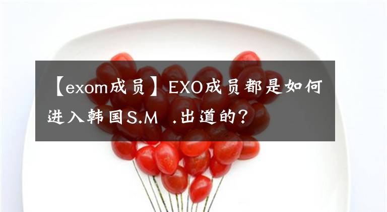 【exom成员】EXO成员都是如何进入韩国S.M .出道的?
