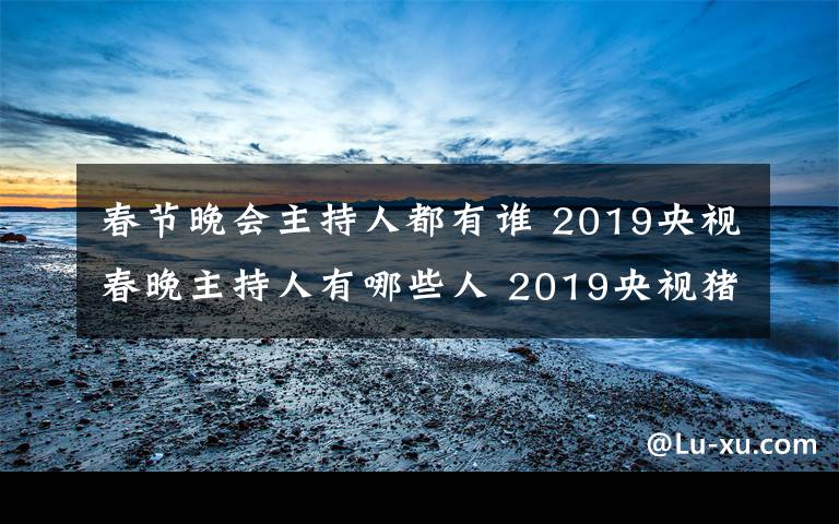 春节晚会主持人都有谁 2019央视春晚主持人有哪些人 2019央视猪年春晚主持阵容名单