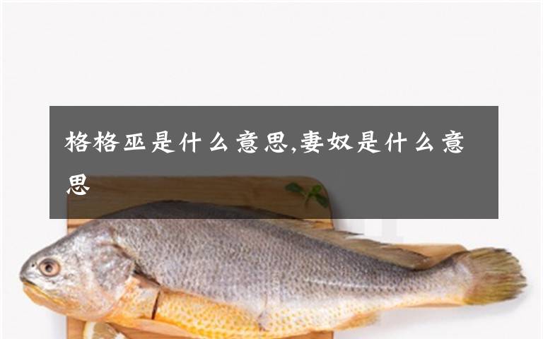 格格巫是什么意思,妻奴是什么意思