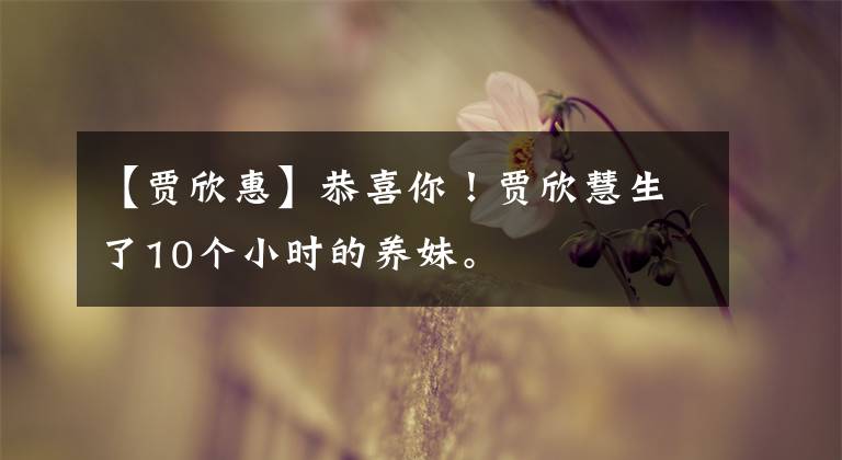 【贾欣惠】恭喜你!贾欣慧生了10个小时的养妹。