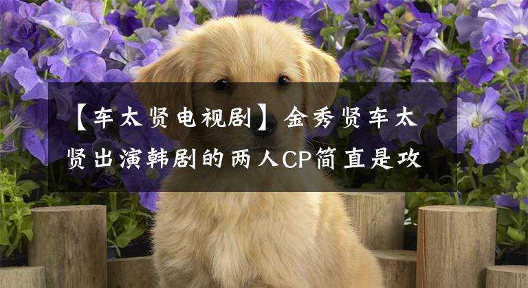 【车太贤电视剧】金秀贤车太贤出演韩剧的两人CP简直是攻击和攻击分明!