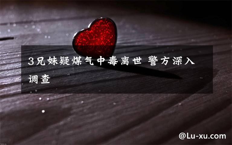 3兄妹疑煤气中毒离世 警方深入调查