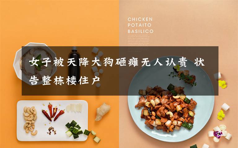 女子被天降大狗砸瘫无人认责 状告整栋楼住户