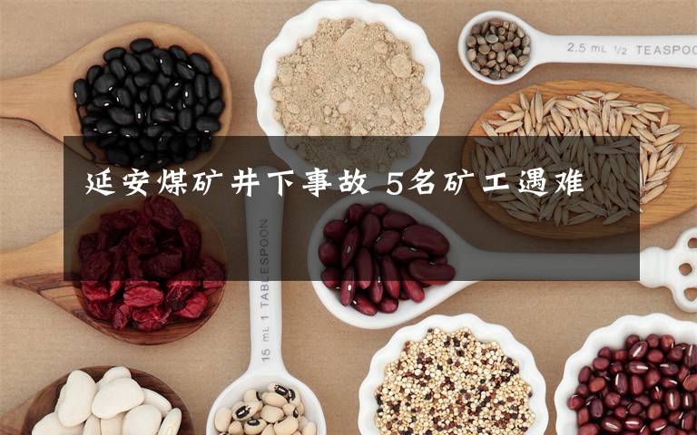 延安煤矿井下事故 5名矿工遇难