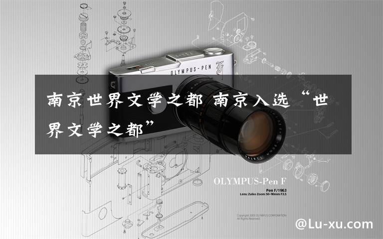 南京世界文学之都 南京入选“世界文学之都”