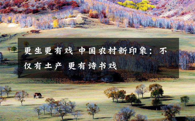 更生更有戏 中国农村新印象:不仅有土产 更有诗书戏