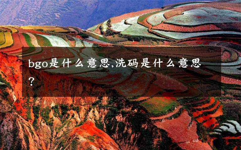 bgo是什么意思,洗码是什么意思？