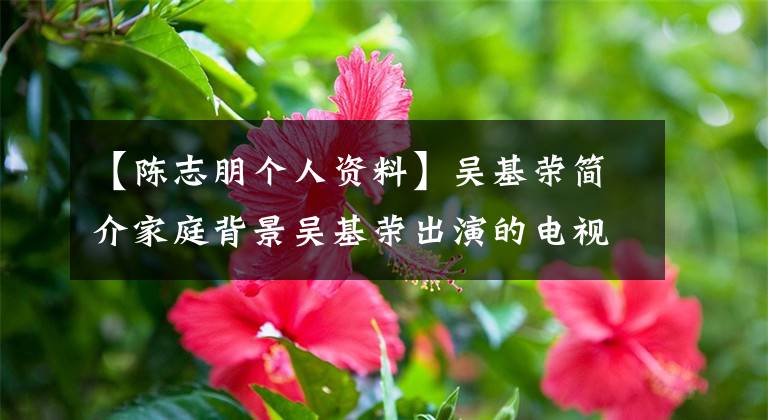 【陈志朋个人资料】吴基荣简介家庭背景吴基荣出演的电视剧电影