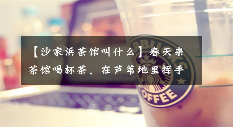 【沙家浜茶馆叫什么】春天来茶馆喝杯茶，在芦苇地里挥手，摆摆肚子，撒家马亲子游戏攻略。