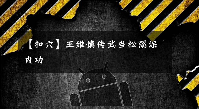 【扣穴】王维慎传武当松溪派内功