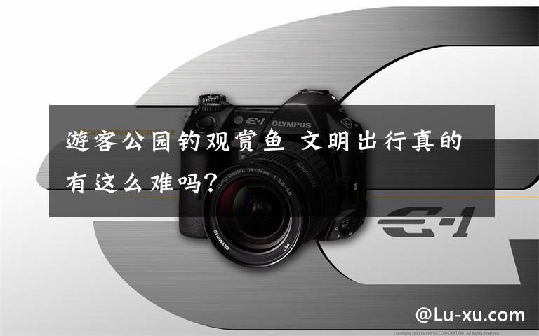 游客公园钓观赏鱼 文明出行真的有这么难吗?