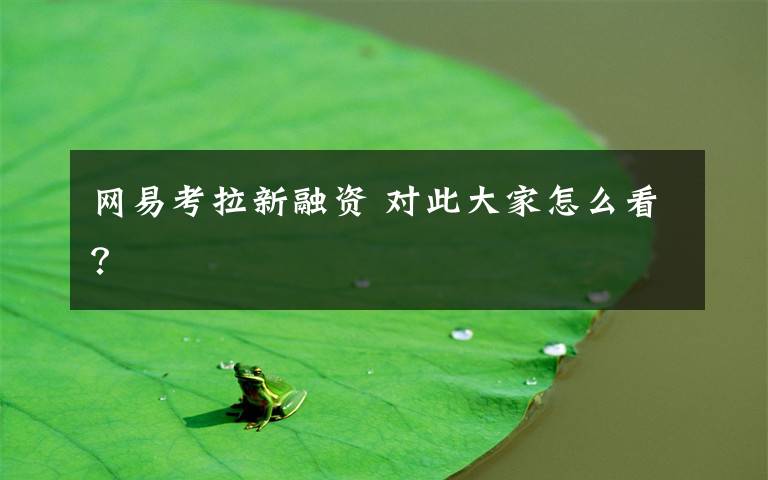 网易考拉新融资 对此大家怎么看?