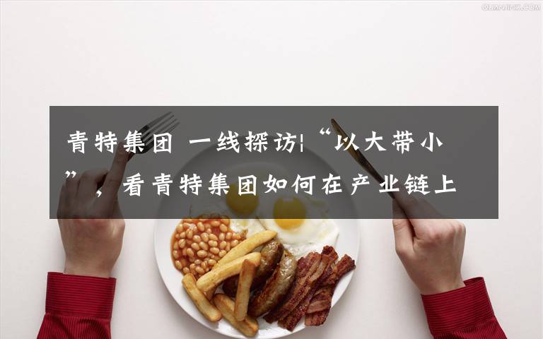 青特集团 一线探访|“以大带小”,看青特集团如何在产业链上获“双赢”