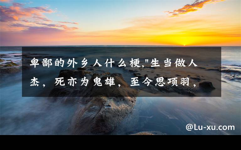 卑鄙的外乡人什么梗,