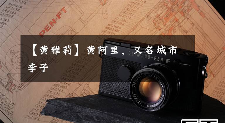 【黄雅莉】黄阿里,又名城市李子