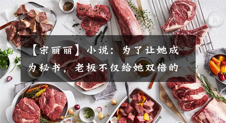 【宋丽丽】小说:为了让她成为秘书,老板不仅给她双倍的工资,还让她在年底之前分红。