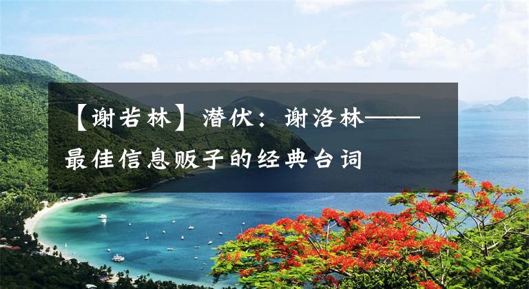 【谢若林】潜伏:谢洛林——最佳信息贩子的经典台词