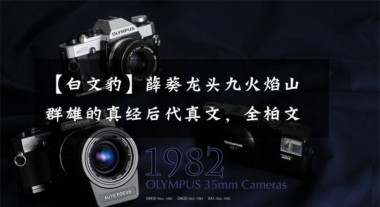 【白文豹】薛葵龙头九火焰山群雄的真经后代真文,全柏文豹的八大锤子真文。