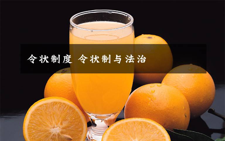 令状制度 令状制与法治