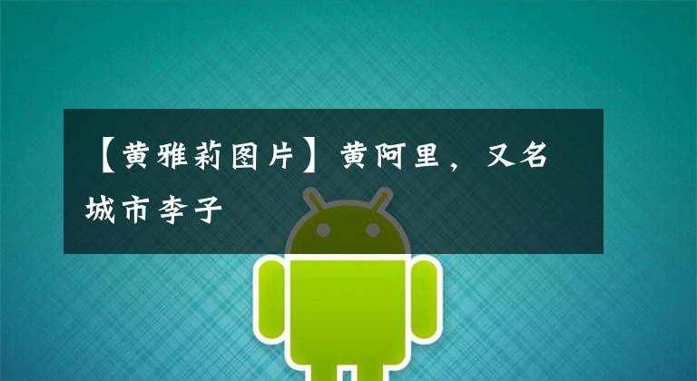 【黄雅莉图片】黄阿里,又名城市李子