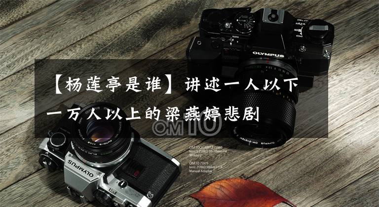 【杨莲亭是谁】讲述一人以下一万人以上的梁燕婷悲剧