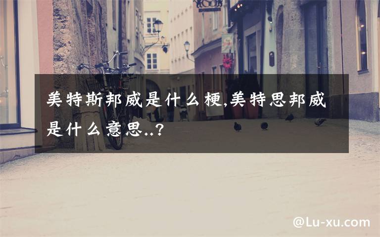 美特斯邦威是什么梗,美特思邦威是什么意思..?