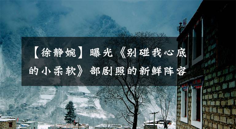 【徐静婉】曝光《别碰我心底的小柔软》部剧照的新鲜阵容造就了质感青春