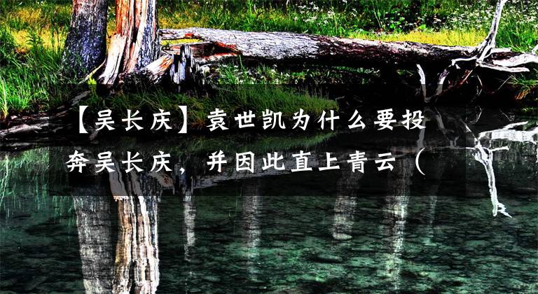 【吴长庆】袁世凯为什么要投奔吴长庆,并因此直上青云(四)