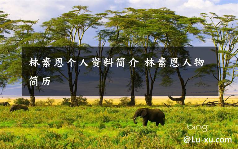 林素恩个人资料简介 林素恩人物简历