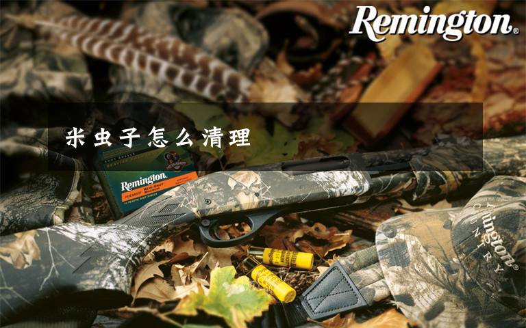 米虫子怎么清理