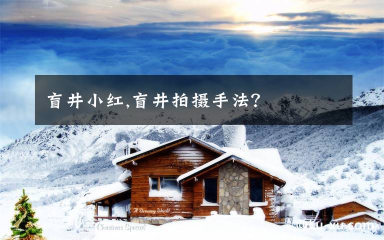 盲井小红,盲井拍摄手法？