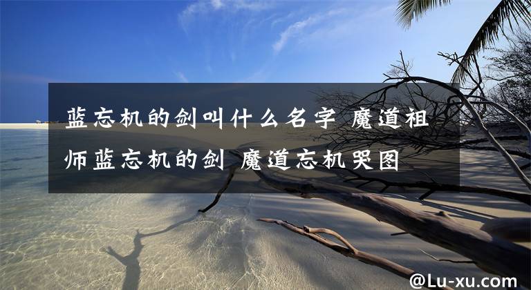 蓝忘机的剑叫什么名字 魔道祖师蓝忘机的剑 魔道忘机哭图