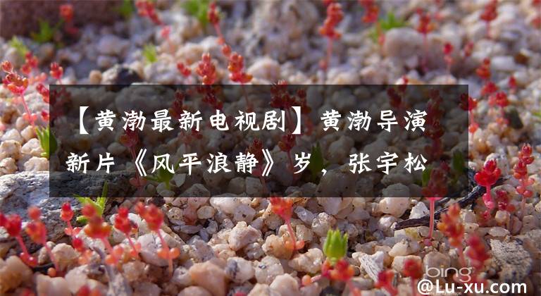 【黄渤最新电视剧】黄渤导演新片《风平浪静》岁，张宇松子主演。