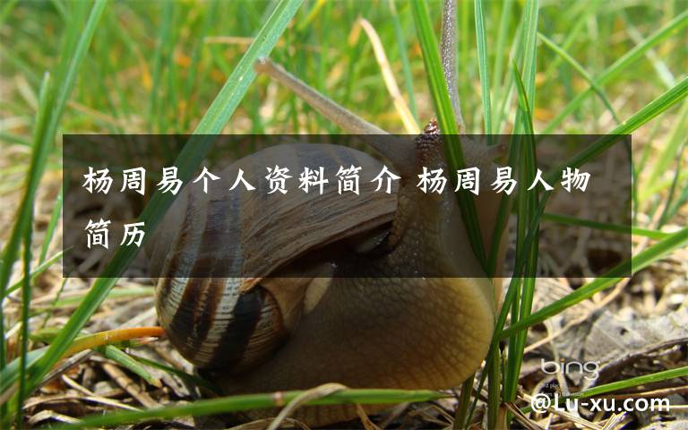 杨周易个人资料简介 杨周易人物简历