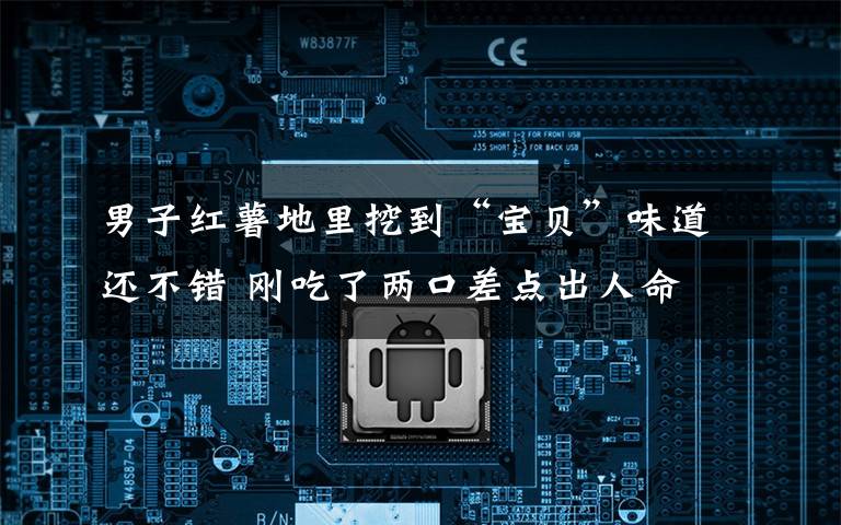 男子红薯地里挖到“宝贝”味道还不错 刚吃了两口差点出人命