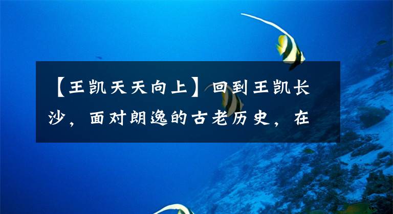 【王凯天天向上】回到王凯长沙,面对朗逸的古老历史,在母亲的督促下,又诞生了。