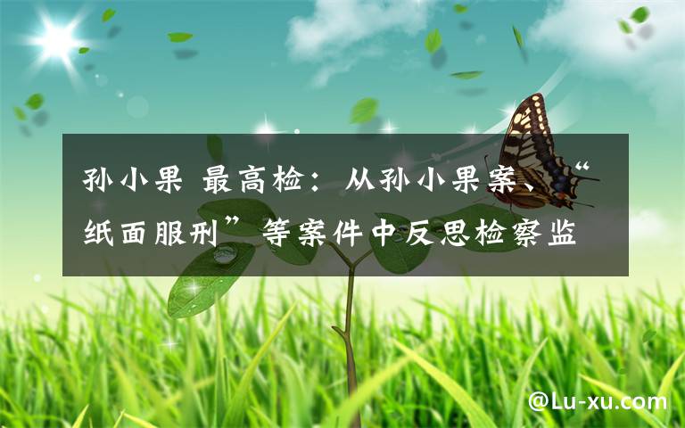 孙小果 最高检:从孙小果案、“纸面服刑”等案件中反思检察监督责任