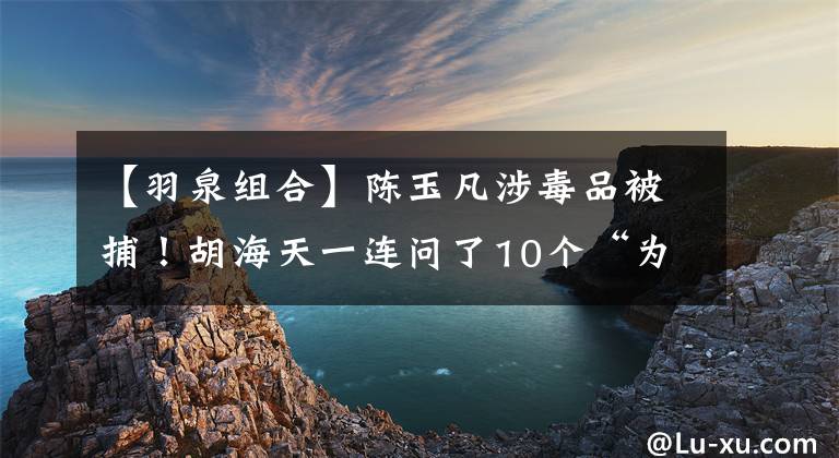 【羽泉组合】陈玉凡涉毒品被捕!胡海天一连问了10个“为什么”