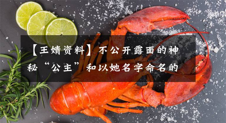 【王婧资料】不公开露面的神秘“公主”和以她名字命名的700亿邪教王国。