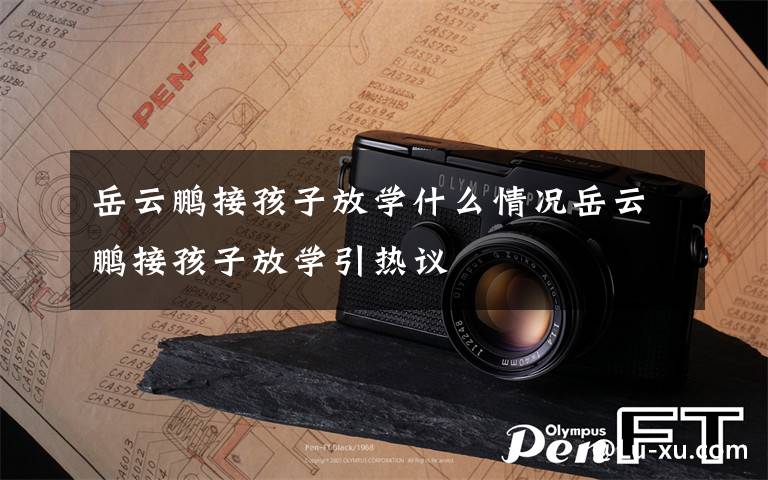 岳云鹏接孩子放学什么情况岳云鹏接孩子放学引热议