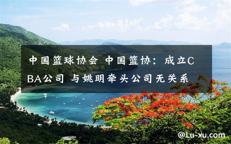 中国篮球协会 中国篮协:成立CBA公司 与姚明牵头公司无关系