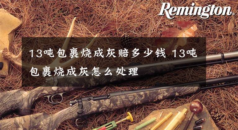 13吨包裹烧成灰赔多少钱 13吨包裹烧成灰怎么处理
