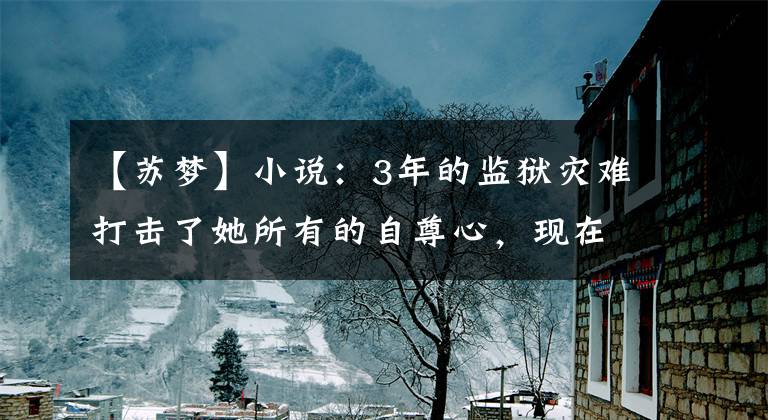 【苏梦】小说:3年的监狱灾难打击了她所有的自尊心,现在她想好好生活
