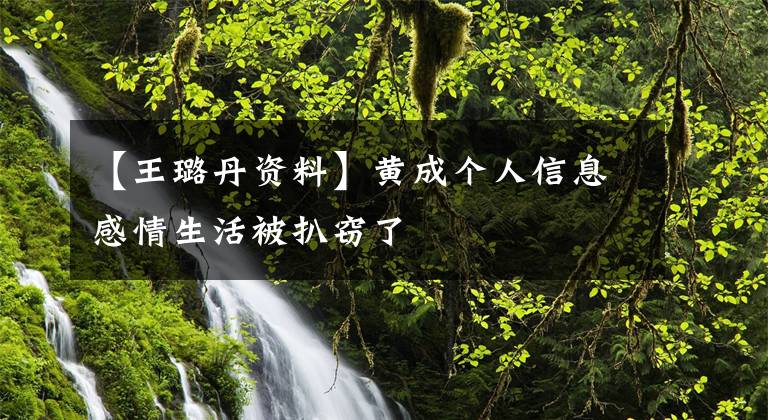 【王璐丹资料】黄成个人信息感情生活被扒窃了