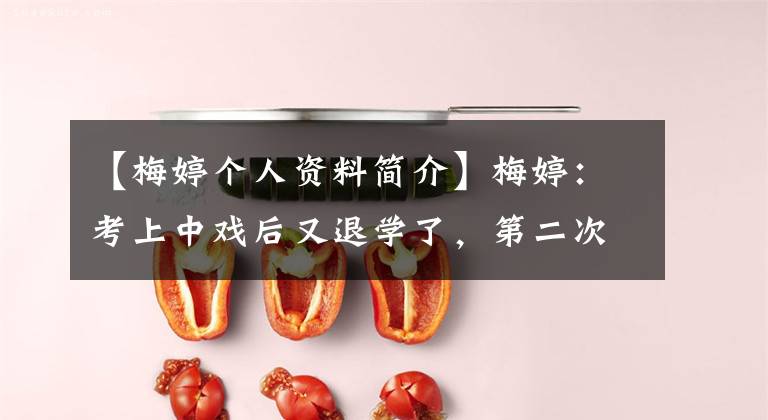 【梅婷个人资料简介】梅婷：考上中戏后又退学了，第二次结婚是初婚男，三年生的两个孩子