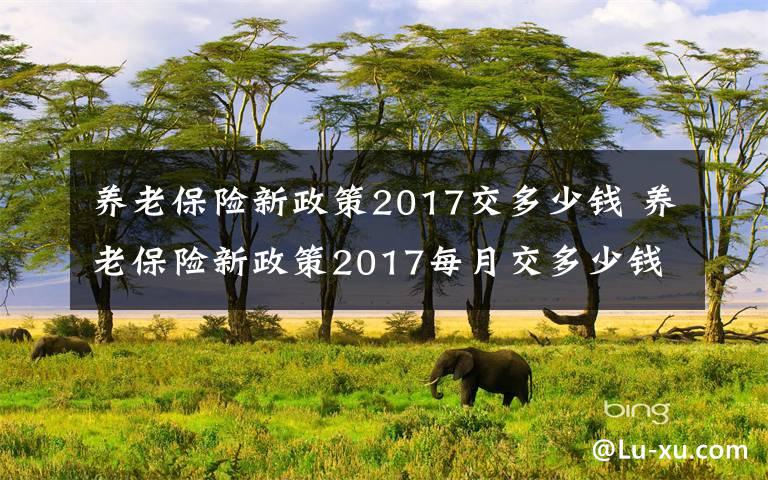 养老保险新政策2017交多少钱 养老保险新政策2017每月交多少钱