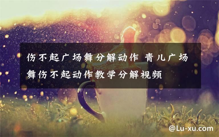 伤不起广场舞分解动作 青儿广场舞伤不起动作教学分解视频